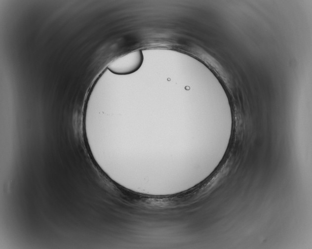 X0000093391194200711081559