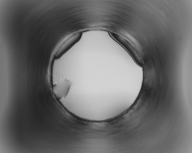 X0000093391196200711081559