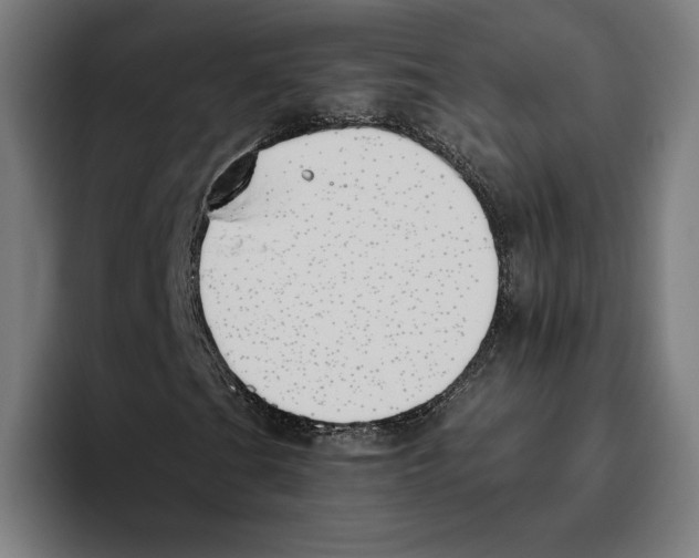 X0000093391201200711081558