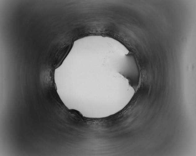 X0000093391202200711081558