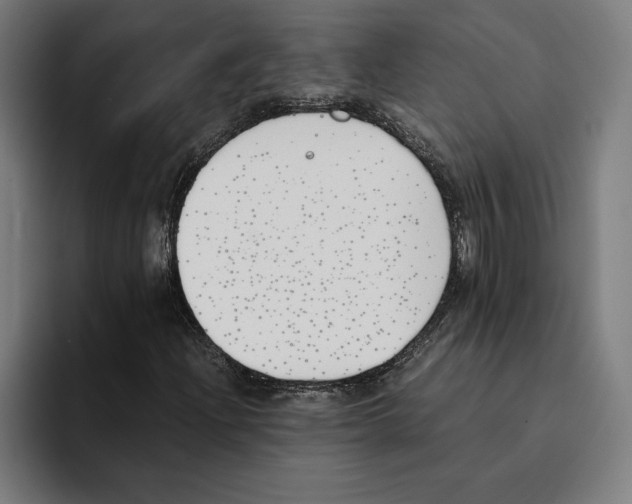 X0000093391204200711081558