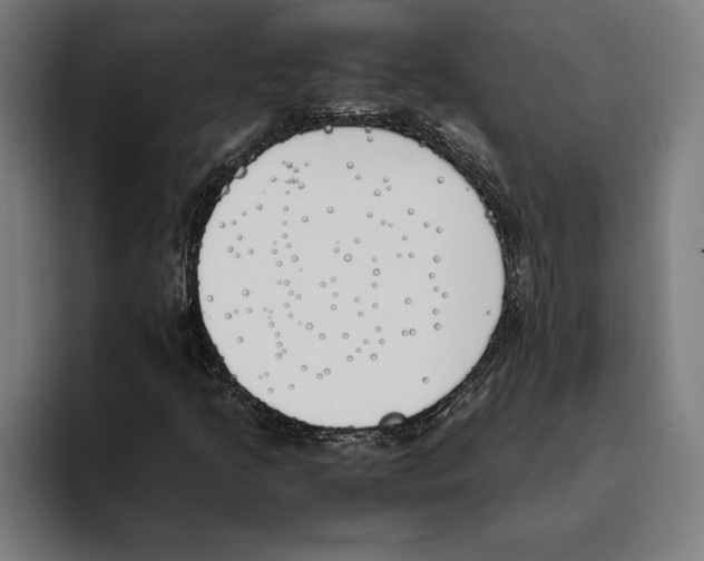 X0000093391205200711081558