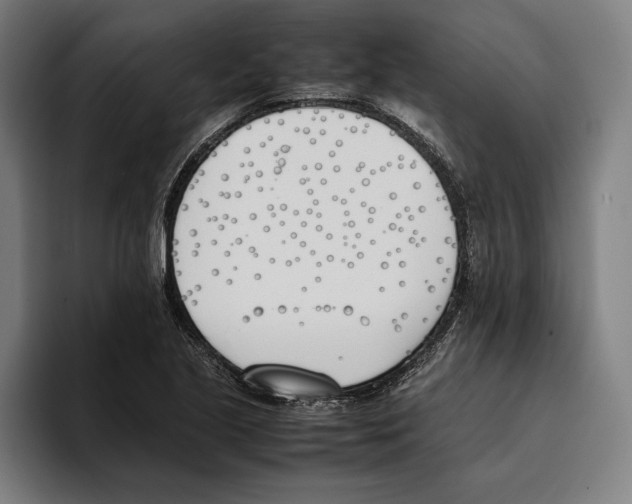 X0000093391221200711081559