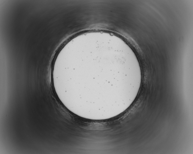 X0000093391224200711081559