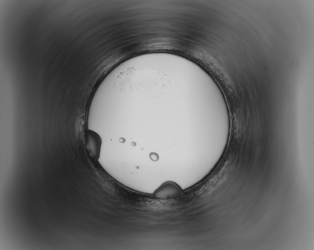 X0000093391225200711081559