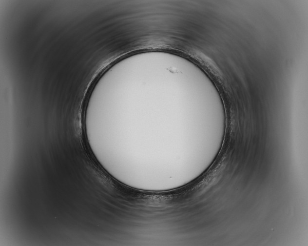 X0000093391226200711081559