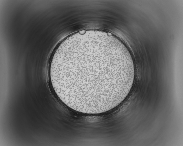 X0000093391227200711081559