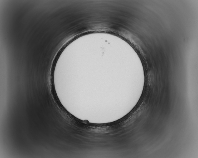 X0000093391229200711081559