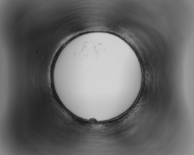 X0000093391230200711081559