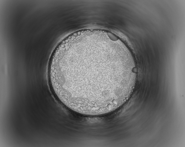X0000093391231200711081559