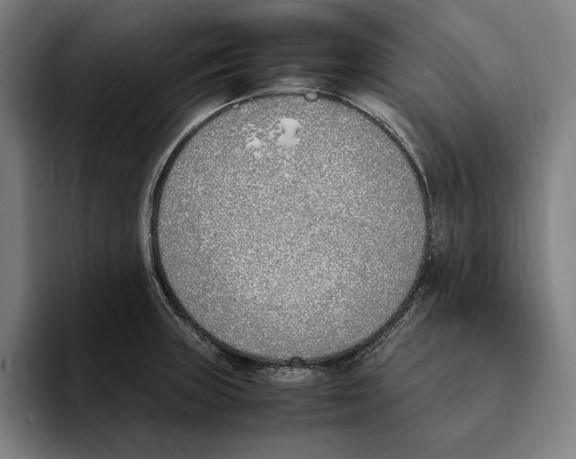 X0000093391235200711081559