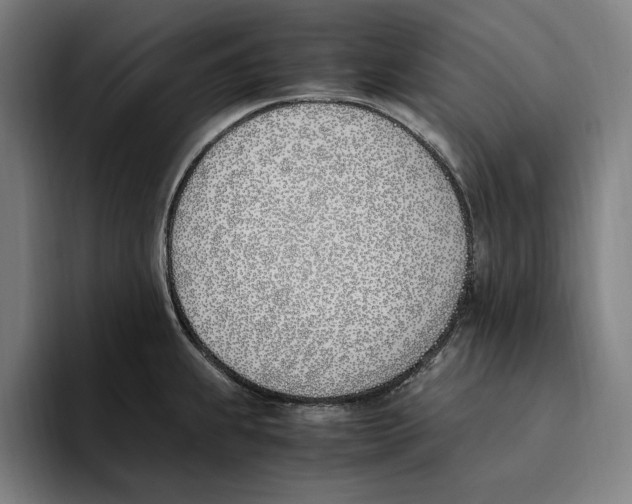 X0000093391239200711081559