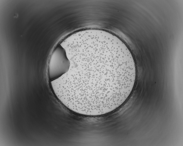 X0000093391240200711081559