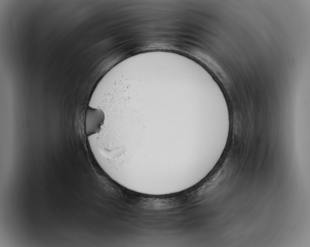 X0000093391241200711081559