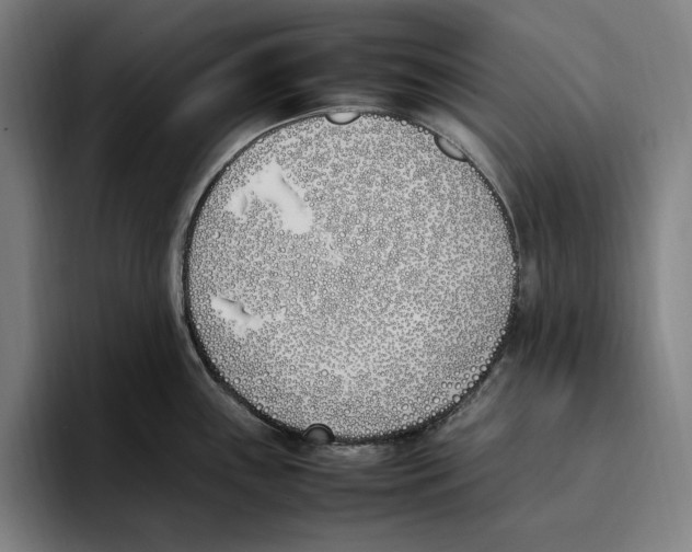 X0000093391243200711081559