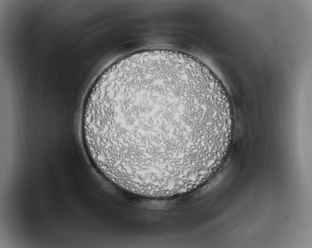 X0000093391245200711081559