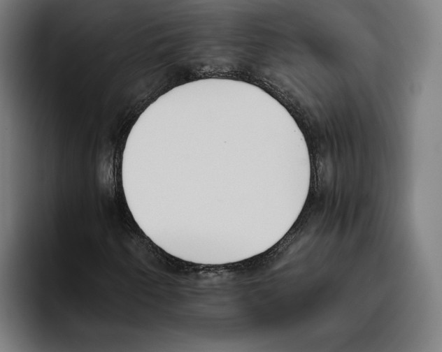 X0000093391250200711081558