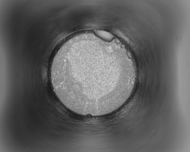 X0000093391259200711081558