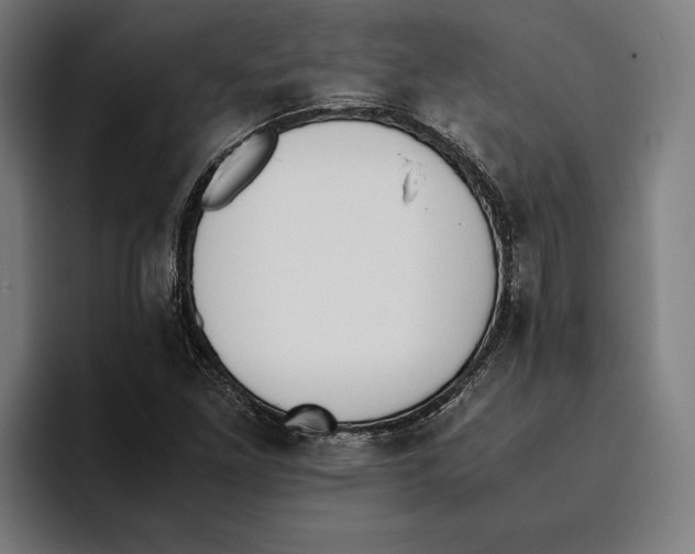 X0000093391261200711081558