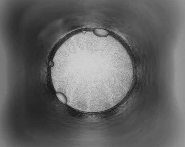 X0000093391263200711081558