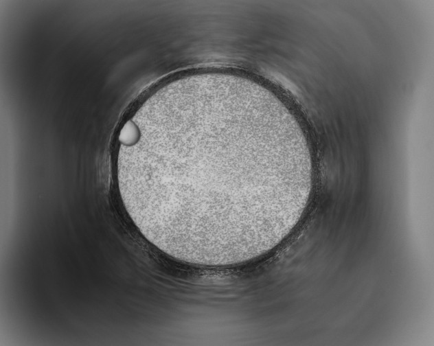 X0000093391267200711081558