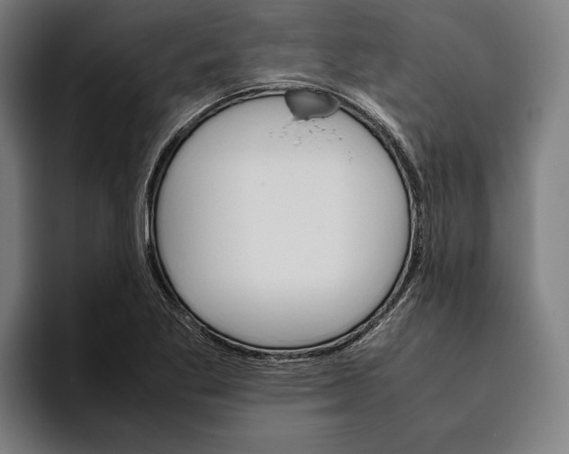 X0000093391269200711081558