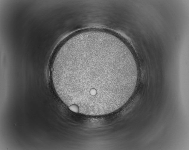 X0000093391271200711081558