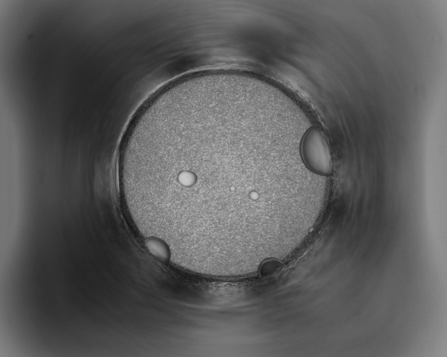 X0000093391275200711081558