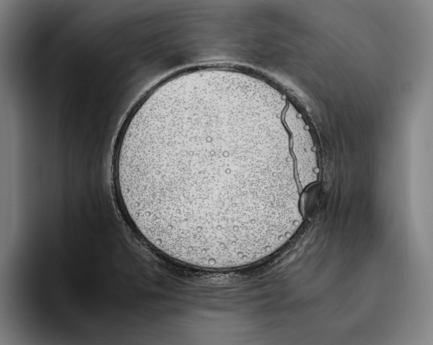 X0000093391279200711081558