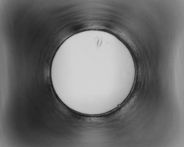 X0000093391281200711081558