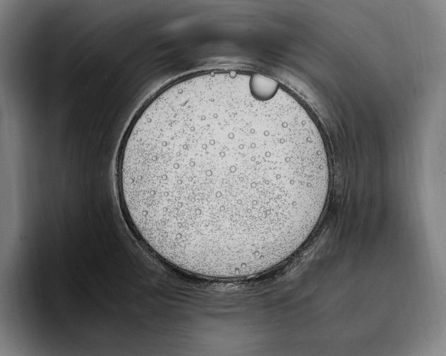 X0000093391283200711081558