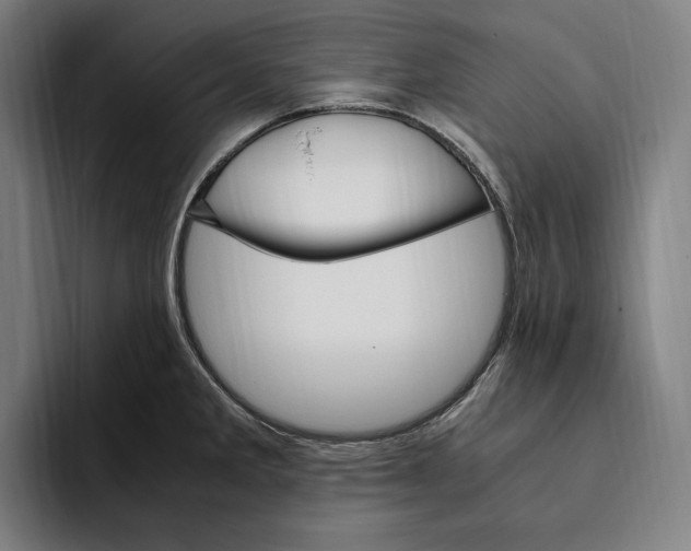 X0000093391285200711081558