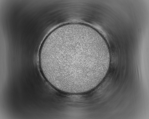 X0000093391287200711081558