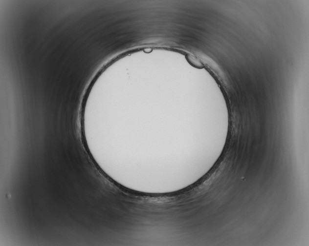 X0000093391288200711081558