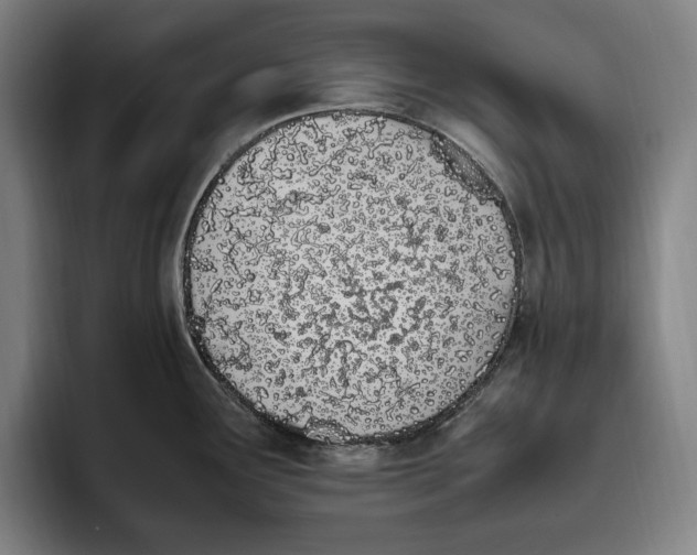 X0000093391291200711081558