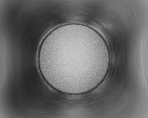X0000093391294200711081558