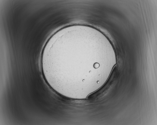 X0000093391295200711081558