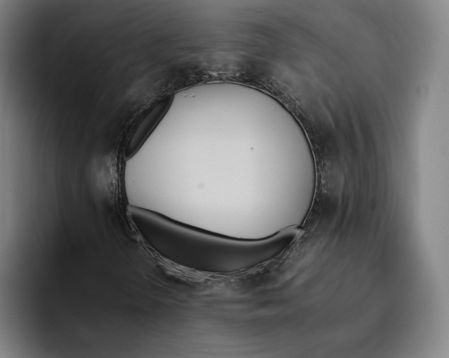 X0000093391298200711081557