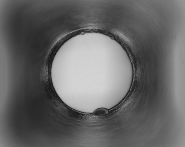 X0000093391310200711081557