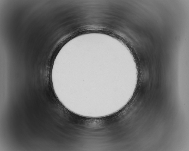 X0000093391314200711081557