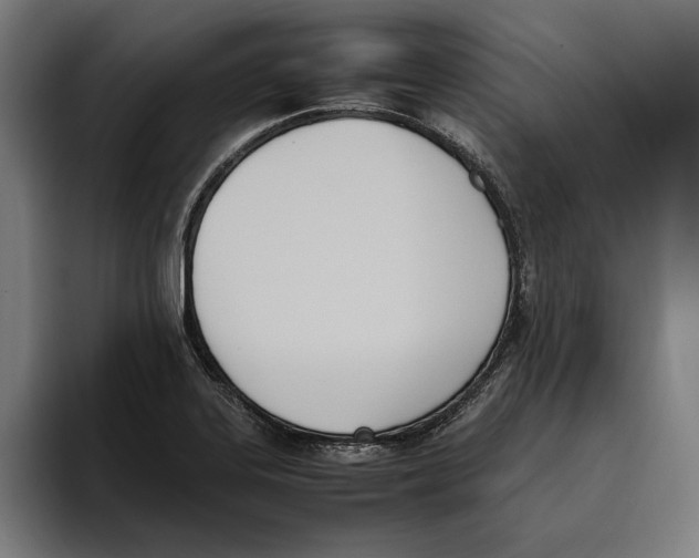 X0000093391323200711081557