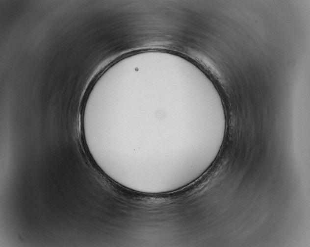 X0000093391324200711081557