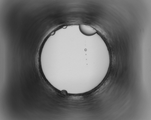 X0000093391325200711081557