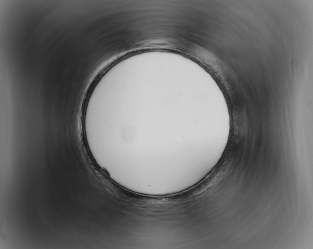 X0000093391328200711081557