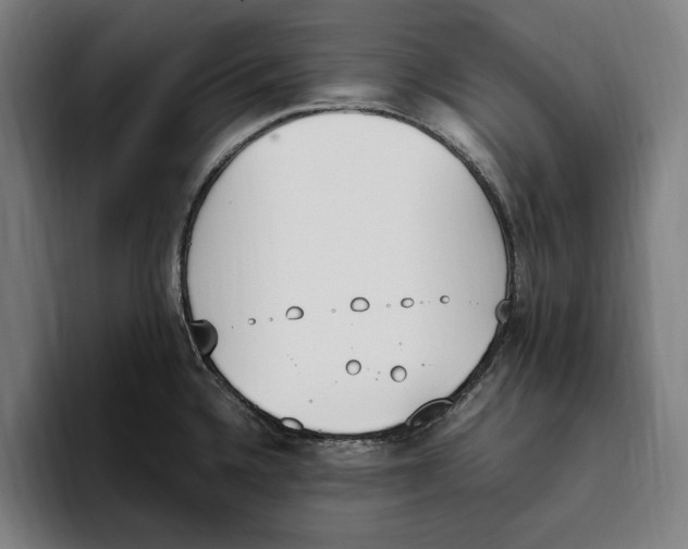 X0000093391336200711081557