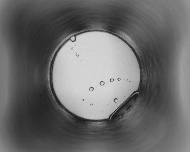 X0000093391339200711081557