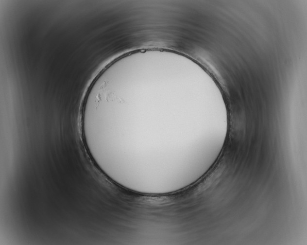 X0000093391340200711081557