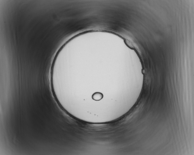 X0000093391343200711081558