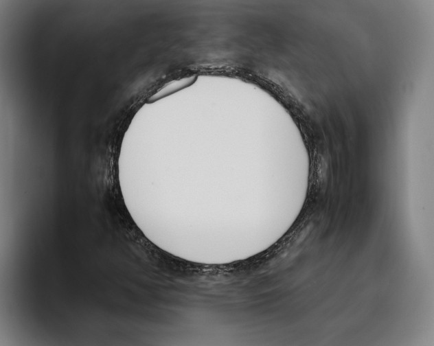 X0000093391350200711081557
