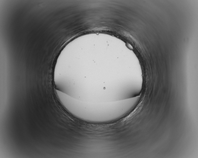 X0000093391361200711081557